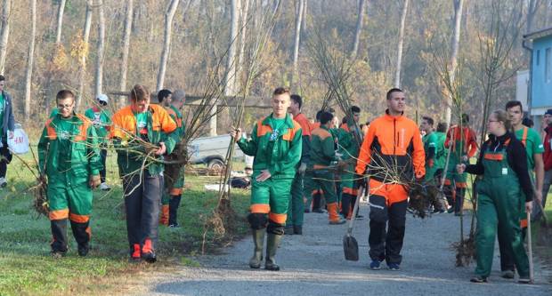 Županija bogatija za više od 800 novih stabala Županija bogatija za više od 800 novih stabala
