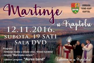 Martinje u Kaptolu 12.11.2016. Martinje u Kaptolu 12.11.2016.