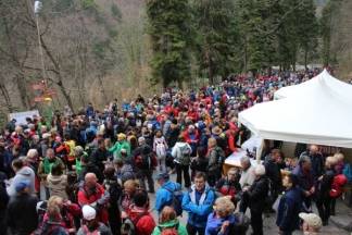 35. Papučki jaglaci, 26.3.2017. 35. Papučki jaglaci, 26.3.2017.