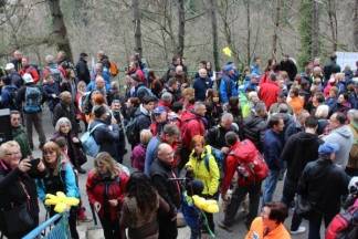 Papučke jaglace posjetilo oko 1500 planinara iz 70-ak društava i udruga Papučke jaglace posjetilo oko 1500 planinara iz 70-ak društava i udruga