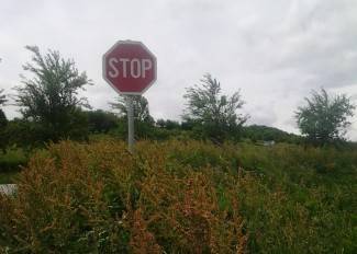 Džungla uz raskrižje: Siguran izlazak na glavnu cestu je lutrija Džungla uz raskrižje: Siguran izlazak na glavnu cestu je lutrija