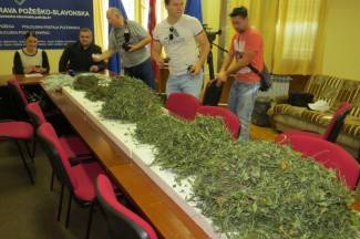 Muškarac (45) iz Požege pao s 5 kg marihuane Muškarac (45) iz Požege pao s 5 kg marihuane