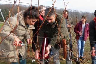 Studenti sami obrađuju vinograd; radovi krenuli orezivanjem i blagoslovom trsova Studenti sami obrađuju vinograd; radovi krenuli orezivanjem i blagoslovom trsova