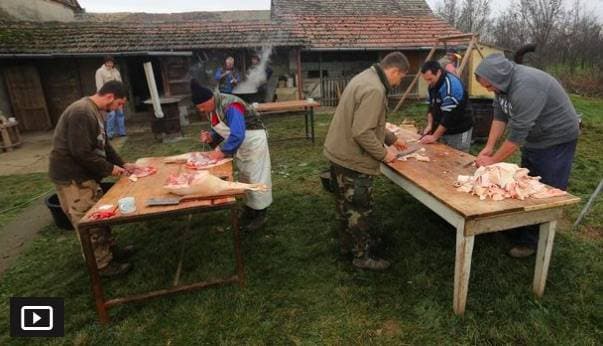 Slika