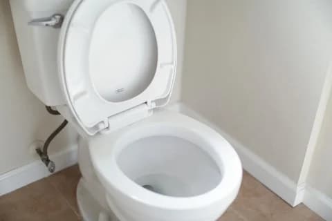 Wc daska