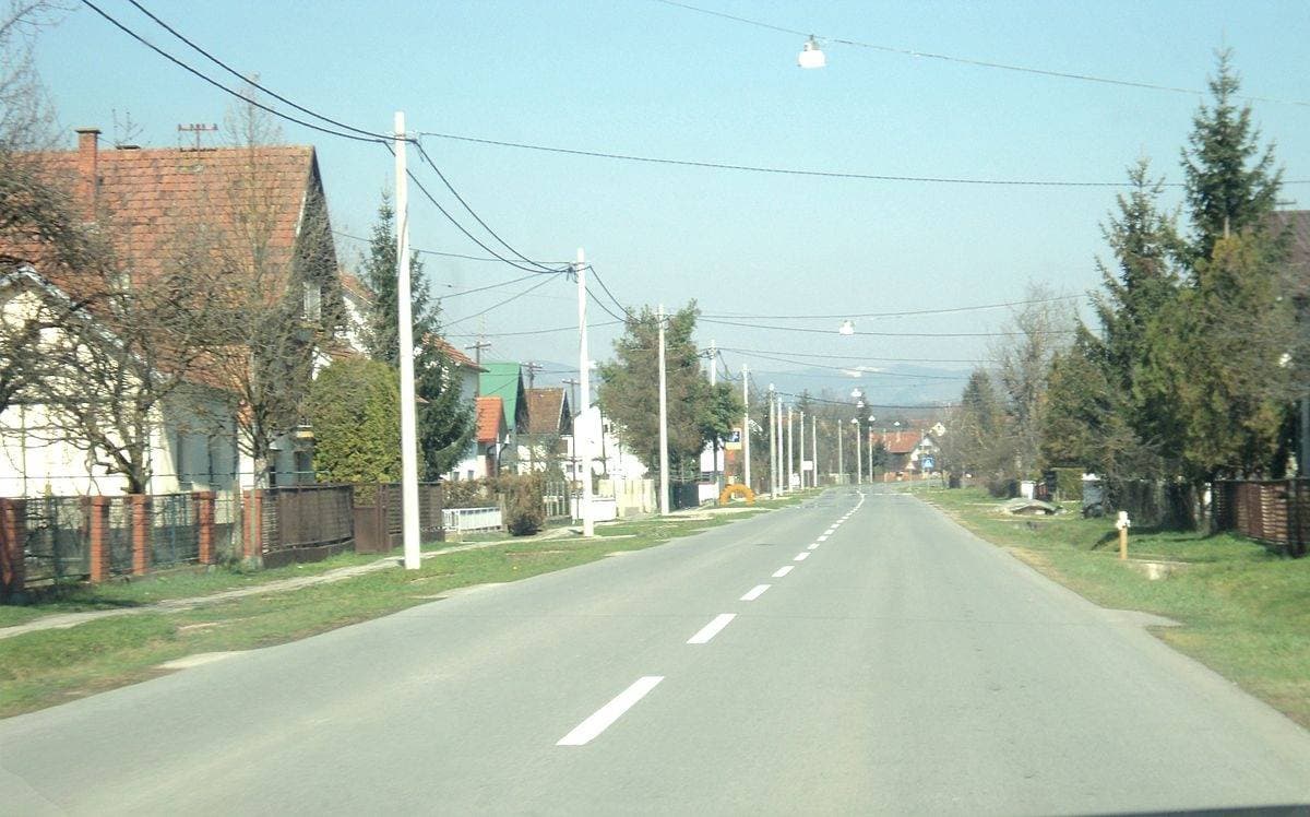 Slika
