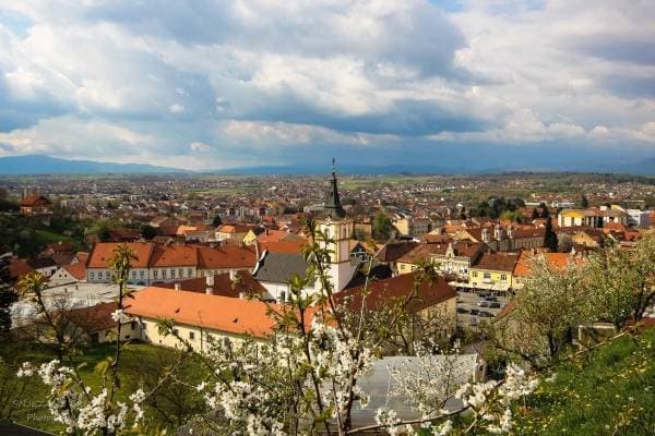 Slika