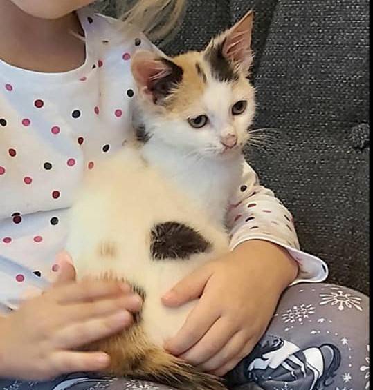 Obitelj Nježić iz Pakraca udomila macu iz Udruge Sirius