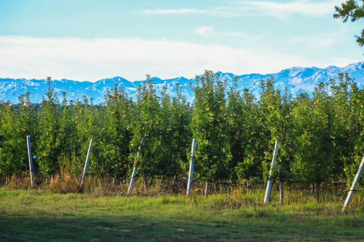 Novi natječaj vrijedan 20 milijuna kuna za obnovu poljoprivrednog zemljišta i proizvodnog potencijala