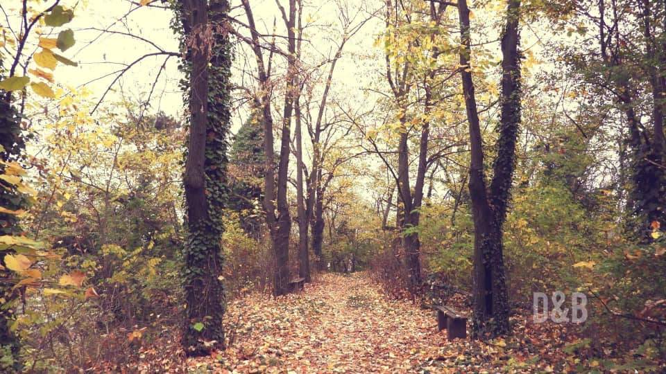 Vrijeme danas oblačno, tmurno i maglovito