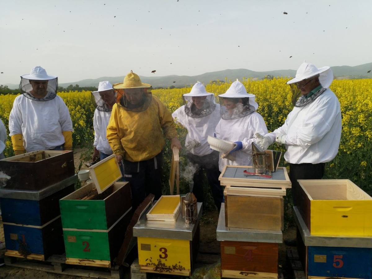 ZAVRŠNA KONFERENCIJA PROJEKTA LIPA – Lokalna inicijativa za poduzetničku aktivaciju