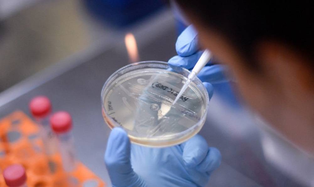 U posljednja 24 sata zabilježena su 3164 nova slučaja zaraze korona virusom