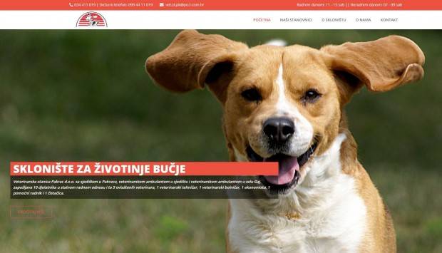 Ne kupuj, udomi!- Vaš najbolji prijatelj čeka na Vas