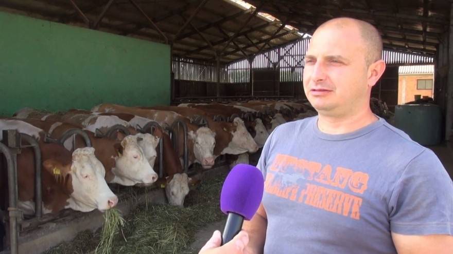 Ivan Bobek s 50 muznih krava ima najuzorniji OPG Požeško-slavonske županije