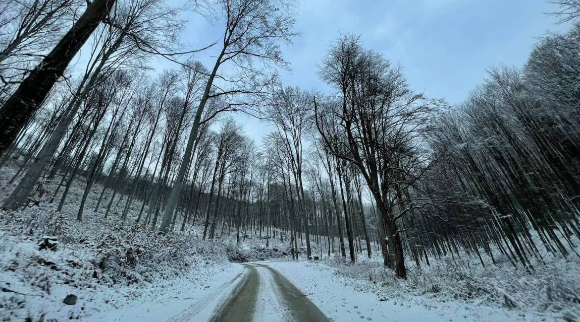 Znanstvenici upozoravaju da nas uskoro možda očekuju ekstremno niske temperature i mećave