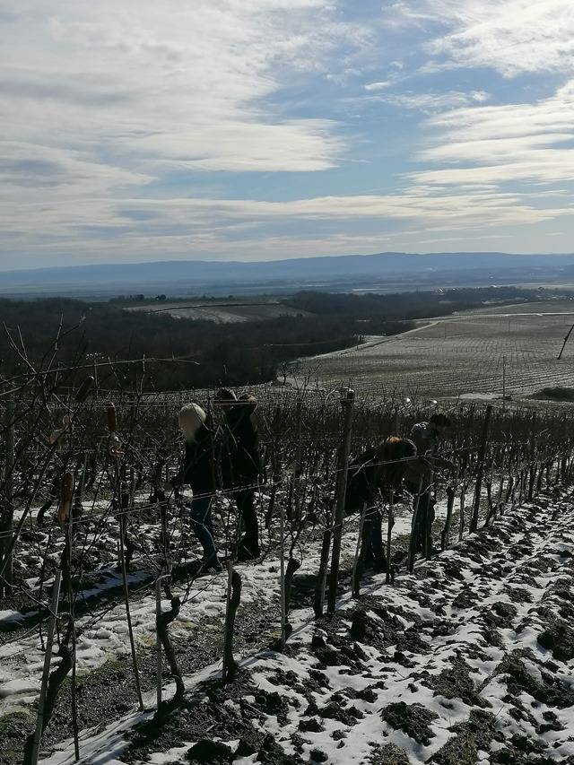 VUP: Vincelovo u nastavnoj bazi u Podgorju