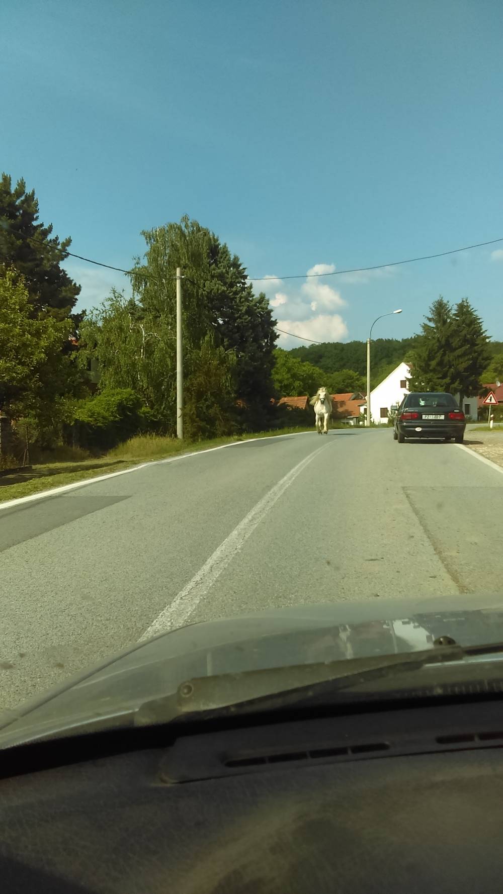 FOTKA DANA: Netko izgubio konja? 