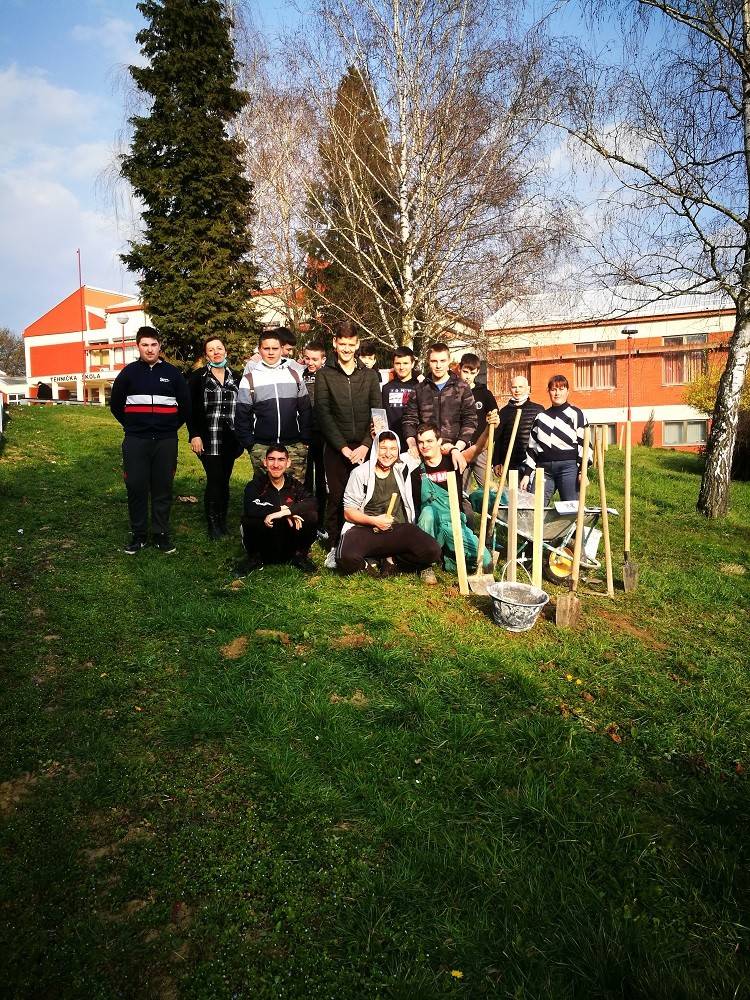 Učenici Obrtničke škole sudjelovali u nacionalnoj kampanji ʺZasadi stablo, ne budi panjʺ