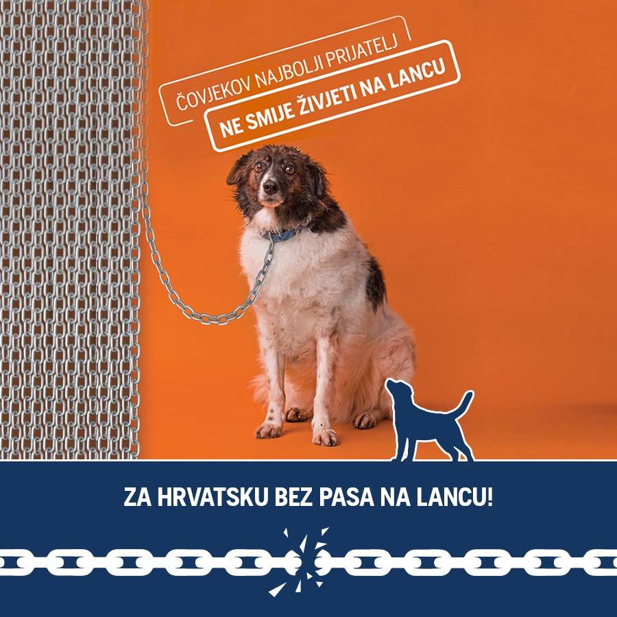 Veterinari podržali kampanju za zabranu držanja pasa na lancu
