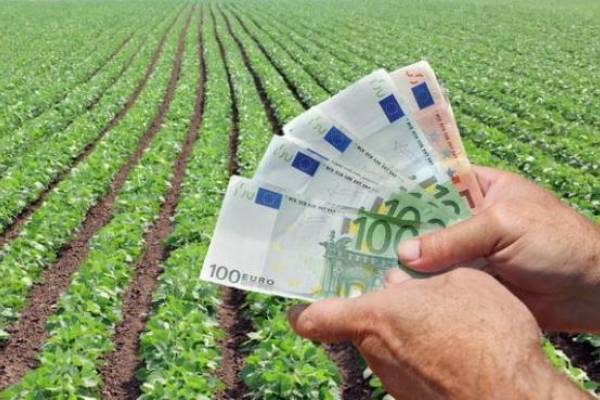 Nova pravila za poticaje: zasađena površina prestaje biti ključna, gledat će se količina uroda po hektaru. A to znači i manje mogućnosti za muljanje!