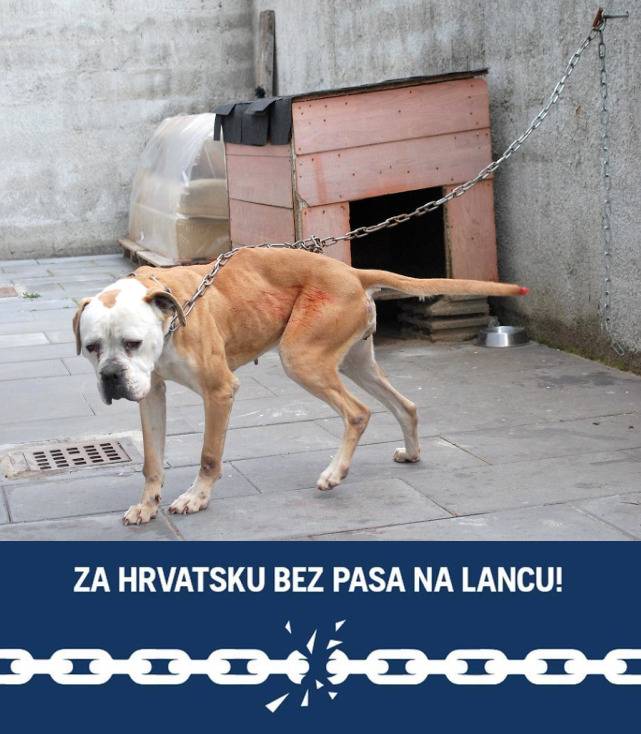 Mreža za zaštitu životinja: Pas na lancu nije alarmni uređaj!