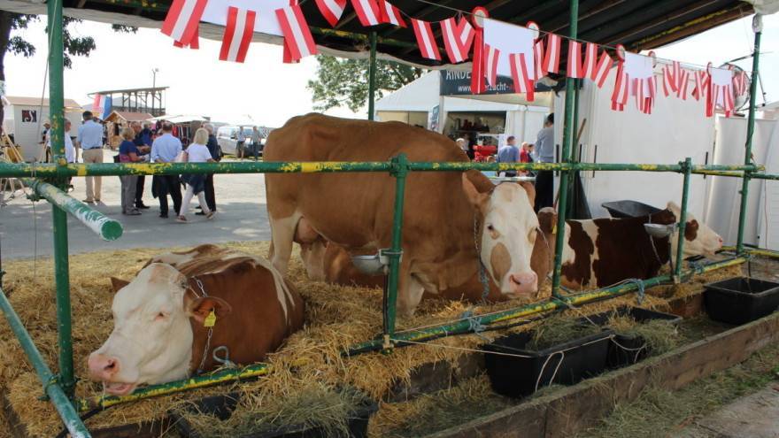 Organizatori sajmova traže dozvolu za sajmovanje na otvorenom