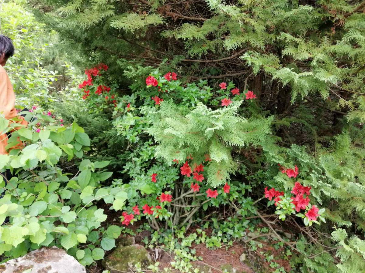 Proljetni izlet HPD ʺSokolovacʺ na Rupnicu i Arboretum ʺLisičineʺ