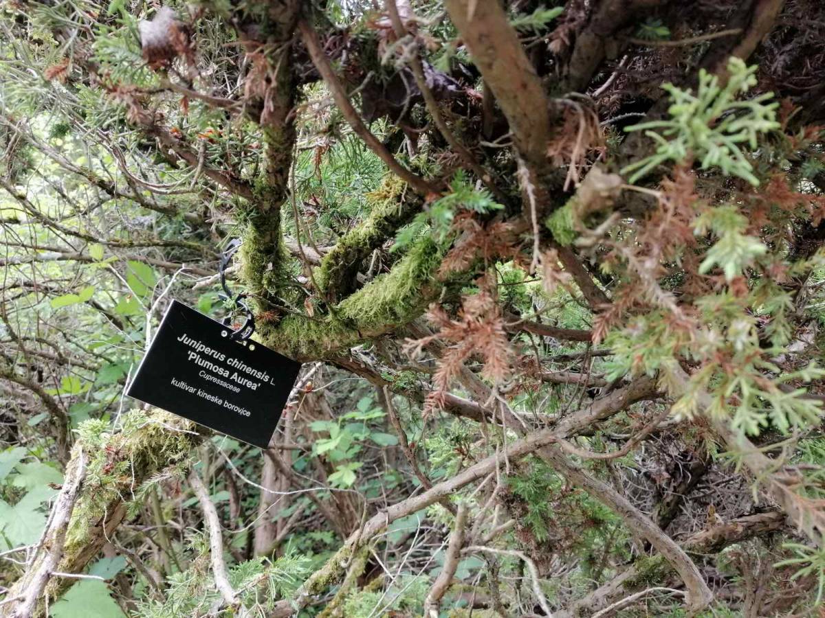 Proljetni izlet HPD ʺSokolovacʺ na Rupnicu i Arboretum ʺLisičineʺ