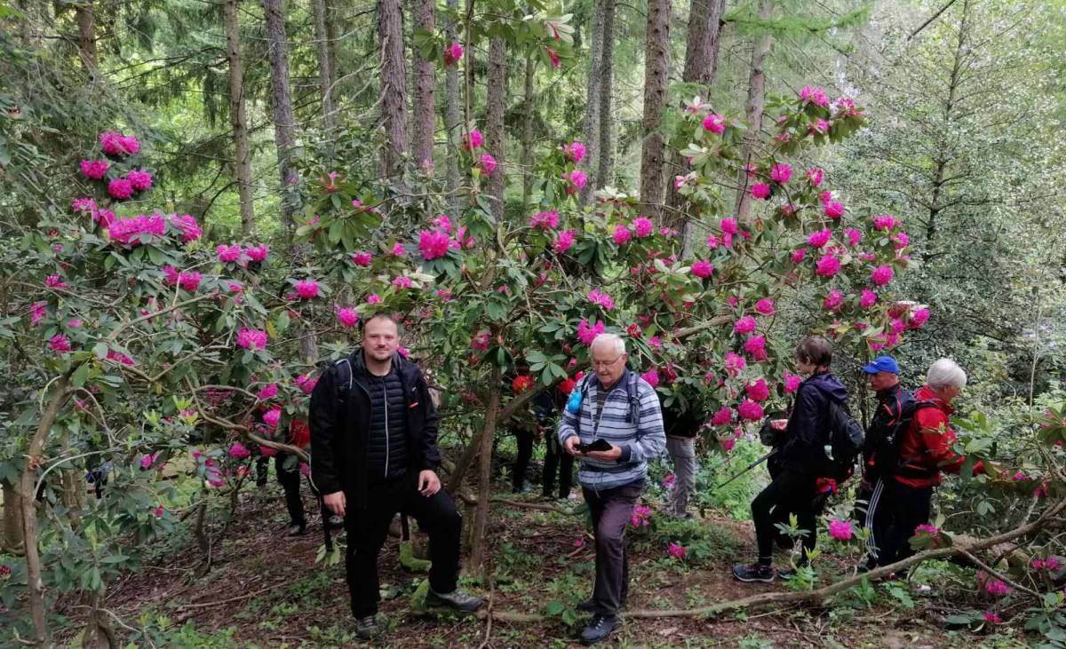 Proljetni izlet HPD ʺSokolovacʺ na Rupnicu i Arboretum ʺLisičineʺ