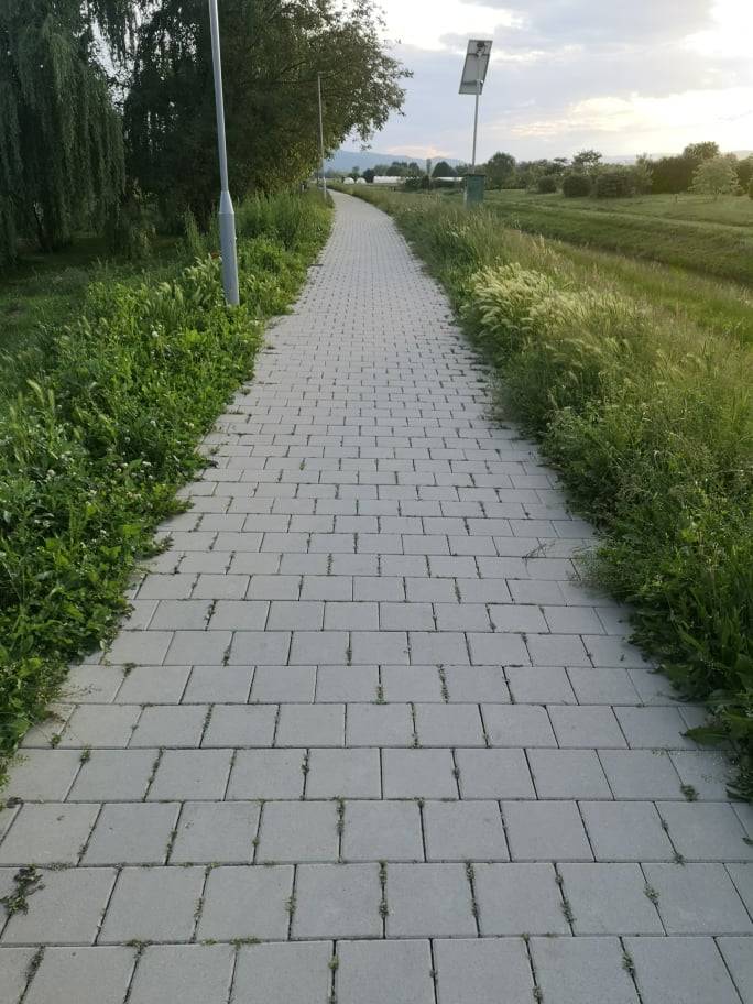 RASTE TRAVA ZELENA: Džungla u srcu Požege