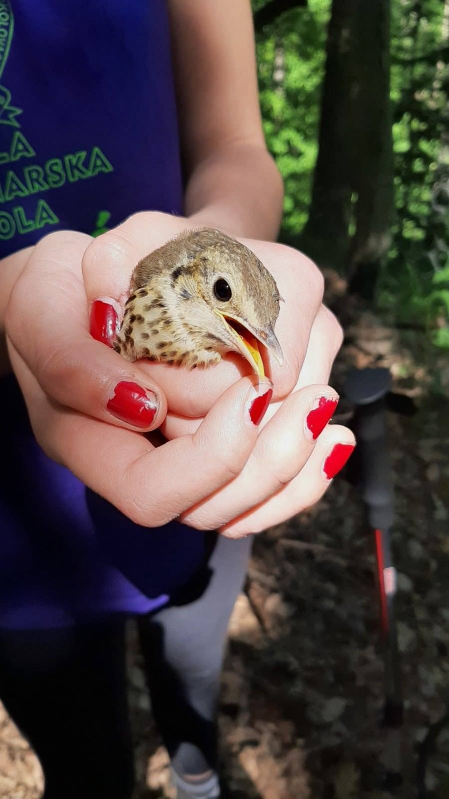 “Sokolići” u pohodu na Papuk