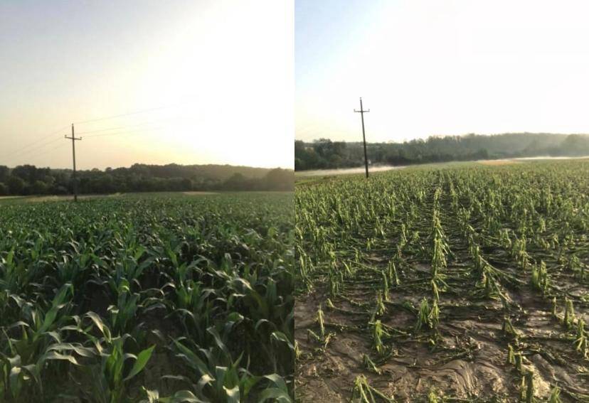 Eminovci-prije i nakon tuče