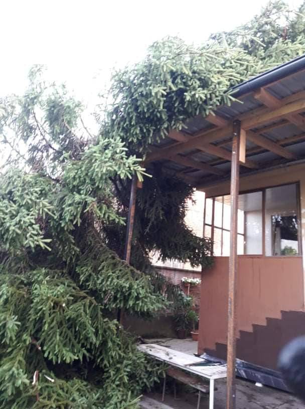 Pune ruke posla za vatrogasce Požeštine