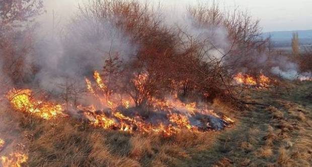 POŽAR U VETOVU: Na groblju izgorjeli stari lampioni, buketi i vijenci