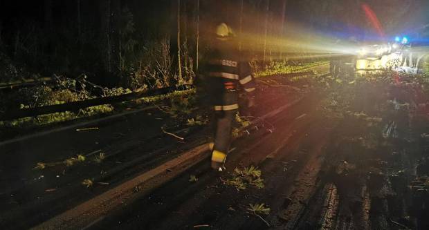 U Sl. Brodu palo stablo. Civilna zaštita objavila detalje dojava poslije nevremena