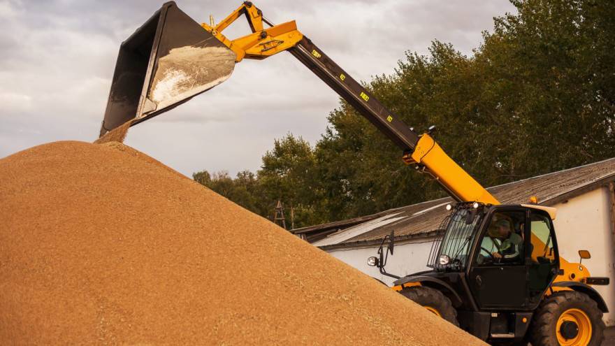 Očekuju se veće zalihe žitarica - pšenica se troši više nego kukuruz?