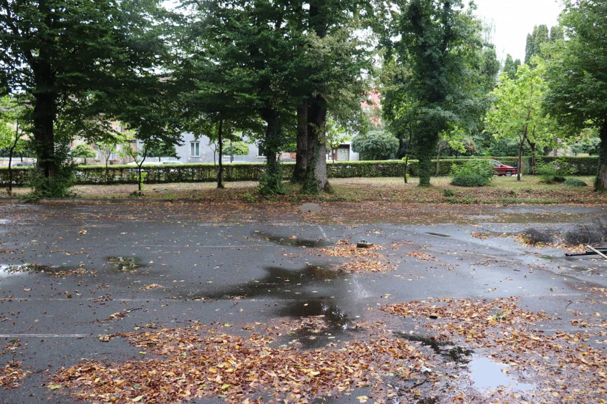 Započeli su radovi na obnovi lipičkog perivoja