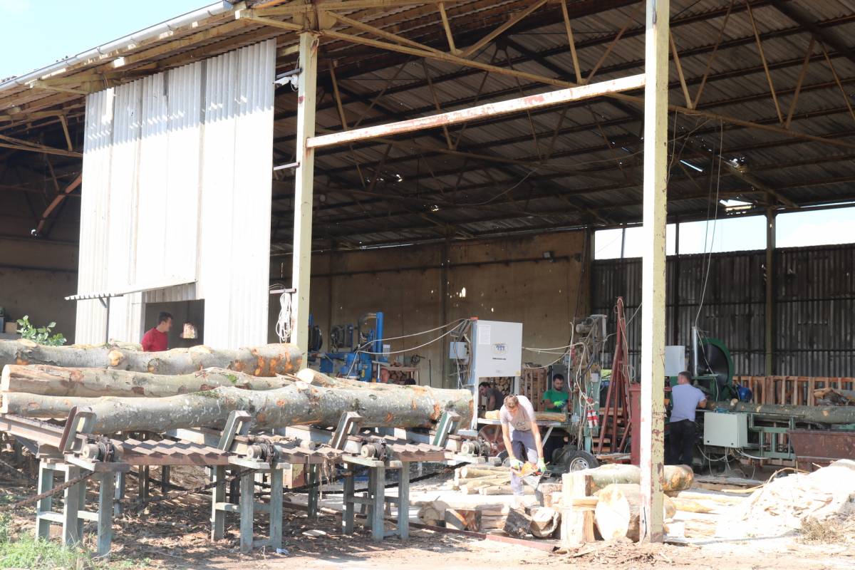 INDUSTRIJSKO DVORIŠTE „PAPUKA“ Parcele očišćene, čeka se početak izgradnje