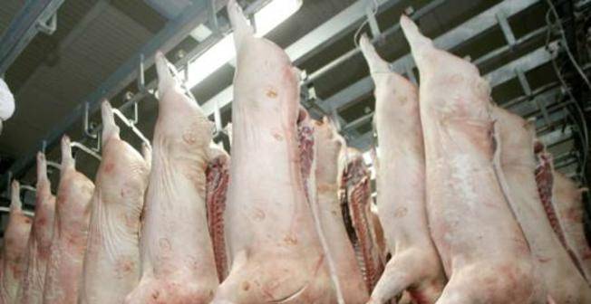 Cijene hrane i dalje rastu, proizvođači odojaka na teškim su mukama: Potražnja stagnira