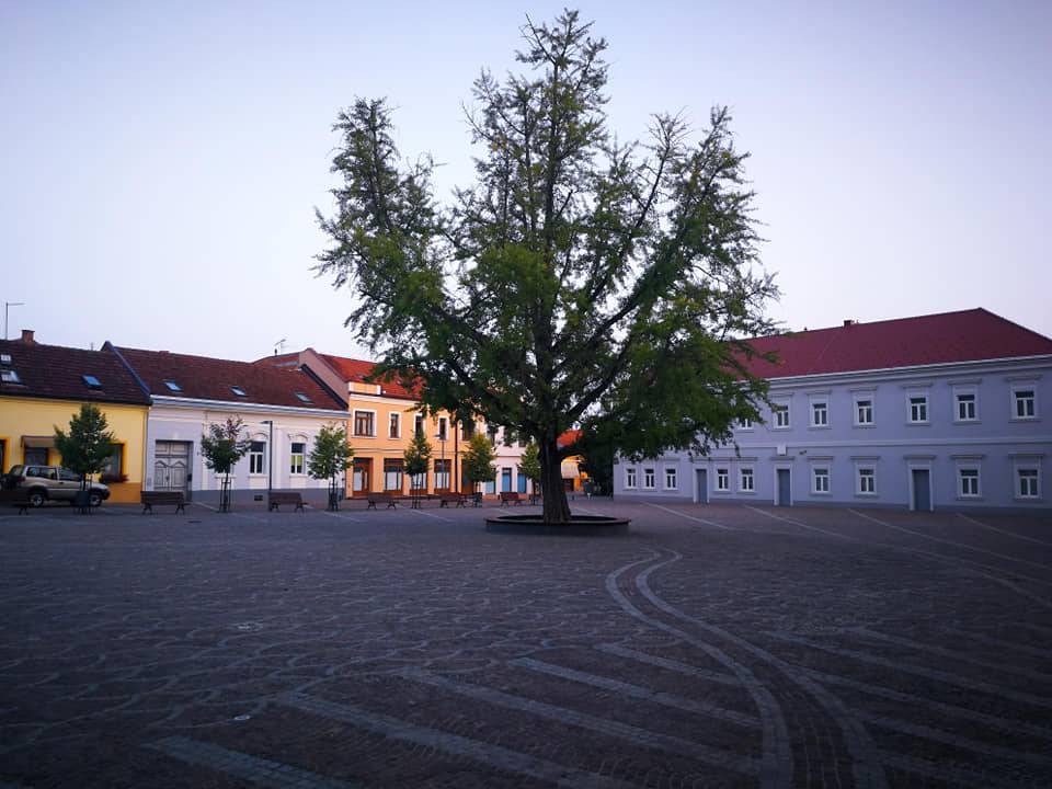 Danas pretežno sunčano uz povremenu naoblaku