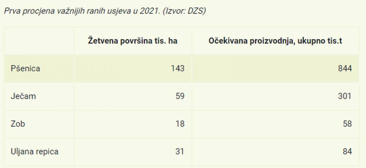 U Hrvatskoj drastično pala proizvodnja uljane repice