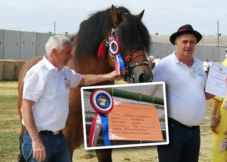 Uzgajivač konja iz Prekopakre u Gudovcu na sajmu osvojio 3. mjesto