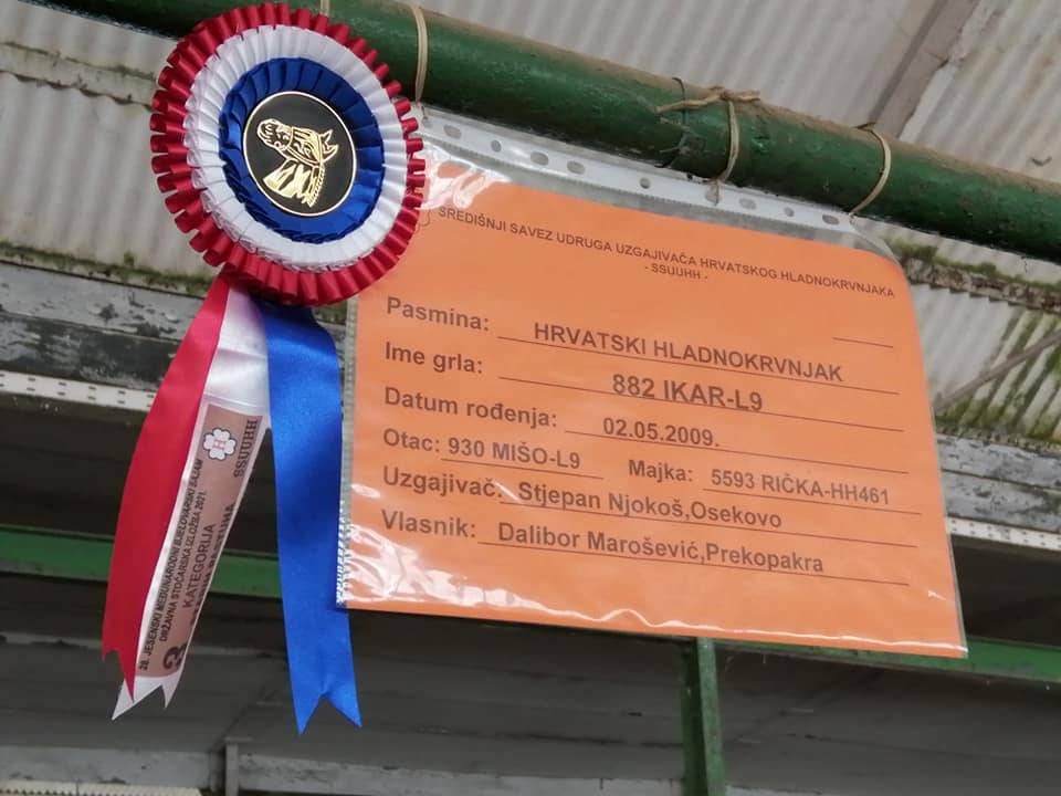 Uzgajivač konja iz Prekopakre u Gudovcu na sajmu osvojio 3. mjesto