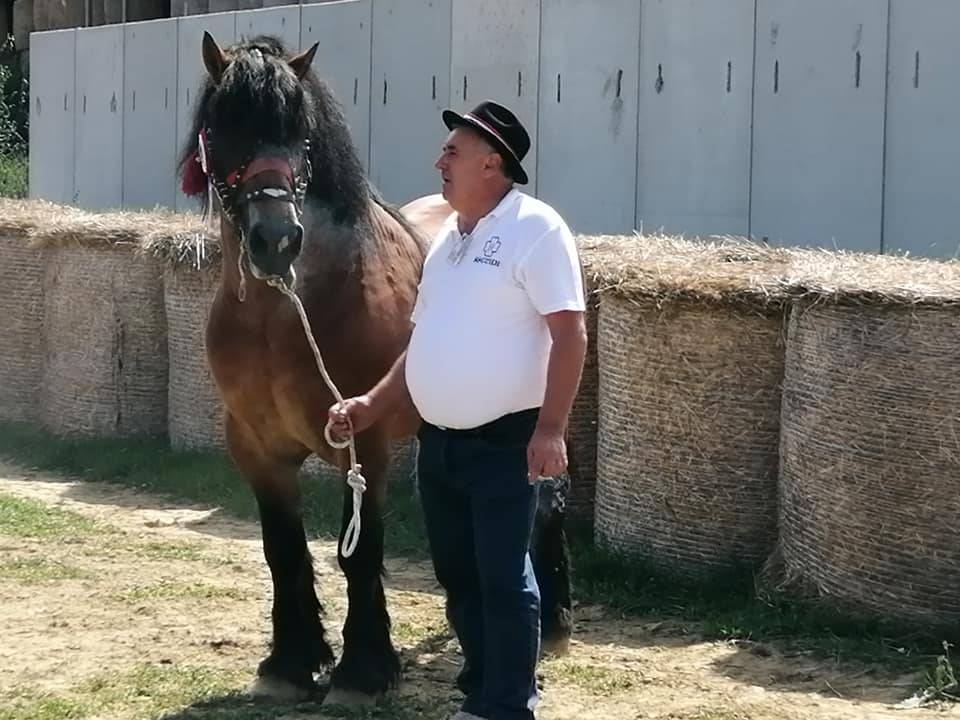 Uzgajivač konja iz Prekopakre u Gudovcu na sajmu osvojio 3. mjesto