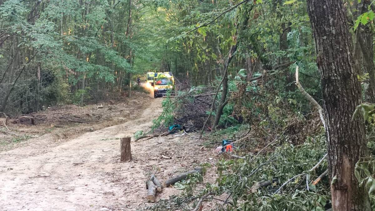 U Požeškoj Koprivnici na muškarca palo drvo. Preminuo je