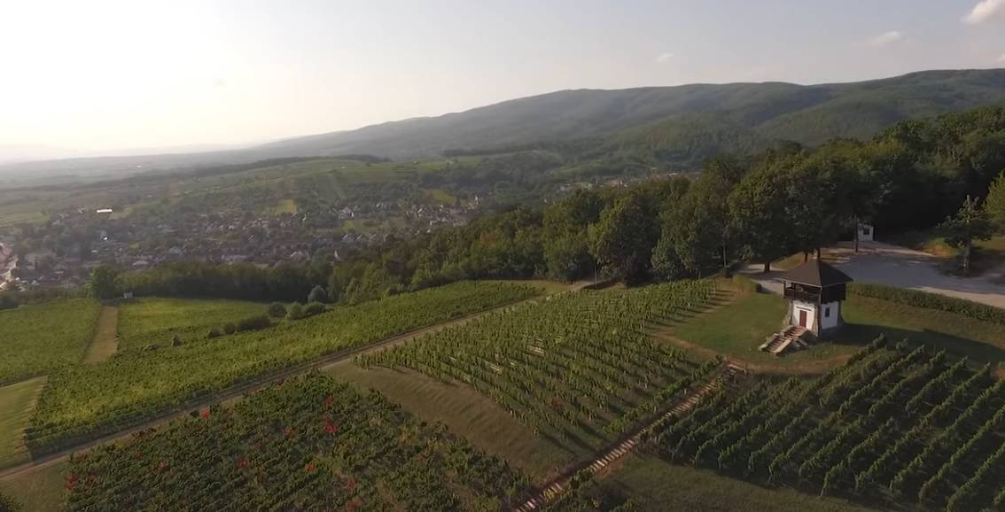 Povodom Dana Grada snimljen novi film o Kutjevu – pogledajte ga!