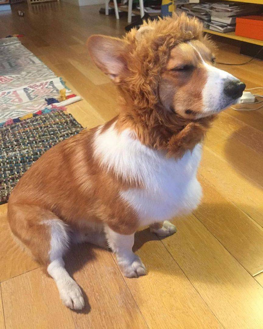 Ovi ljudi su požalili svoju online narudžbu: Što su naručili, a što su dobili?