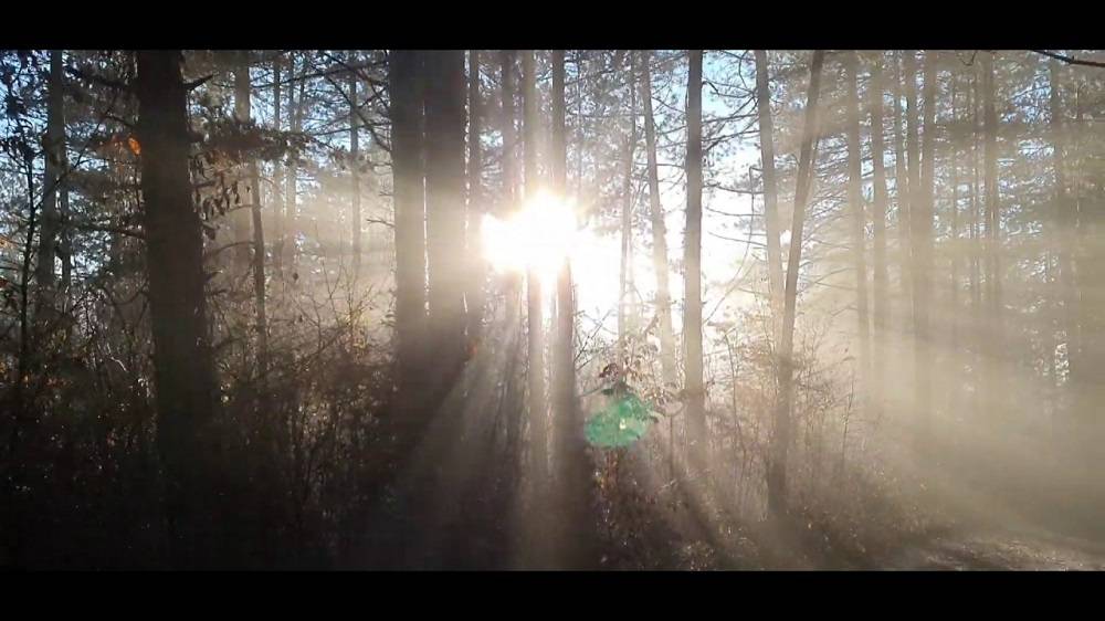 Nakon jutarnje magle sunčano i toplo 