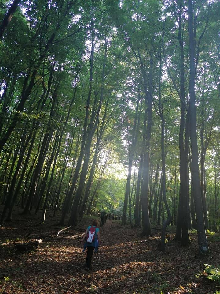 Članovi HPD Knezgrad iz Lovrana u posjeti HPD-u Sokolovac Požega i Papuku