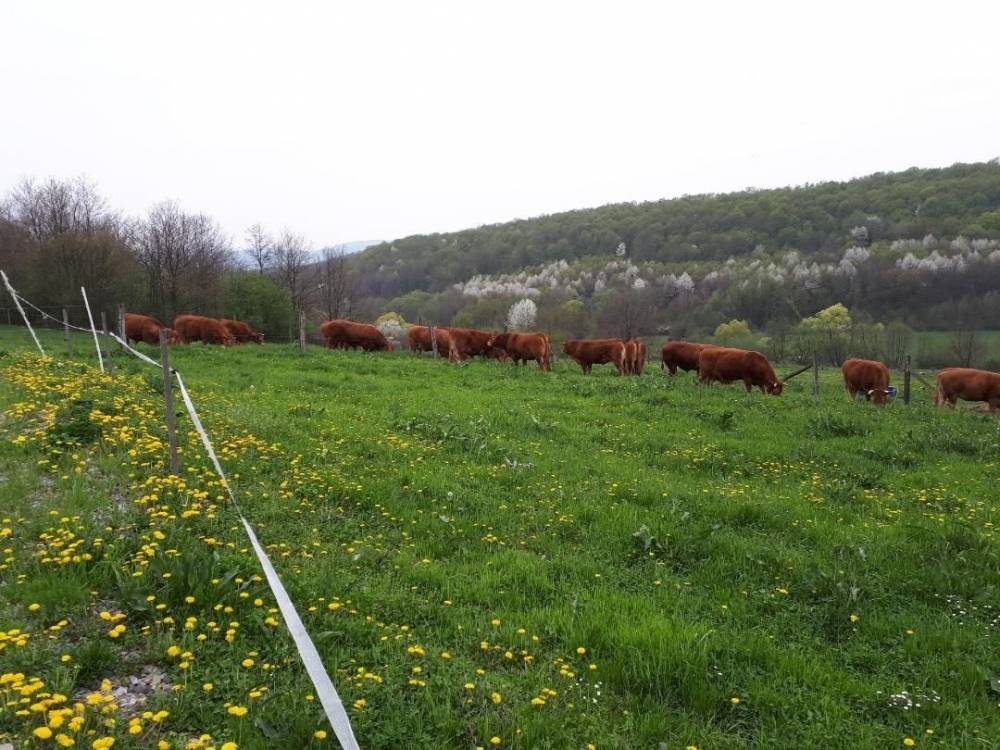 Lucija Palavra: Ne odustajte, ostavite one koji kukaju, slušajte svoje srce i idite dalje!